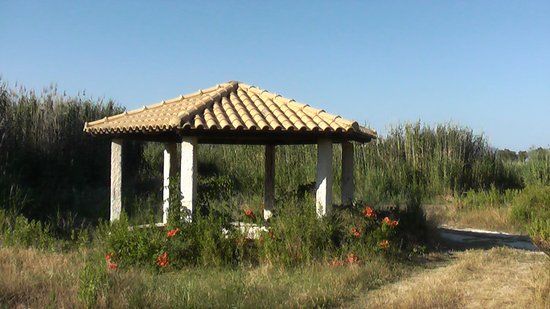 Herodotus Spring