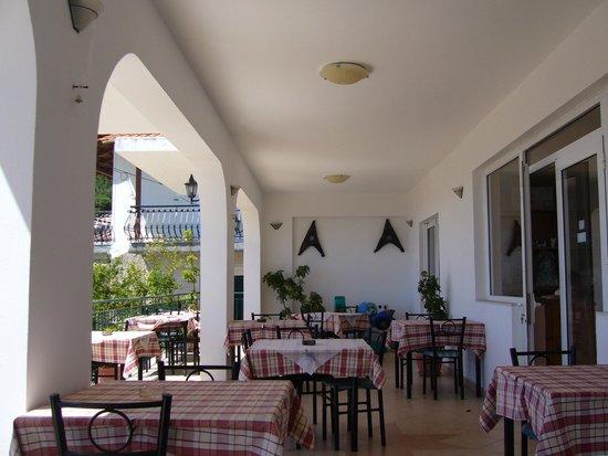 Taverna Olive Tree