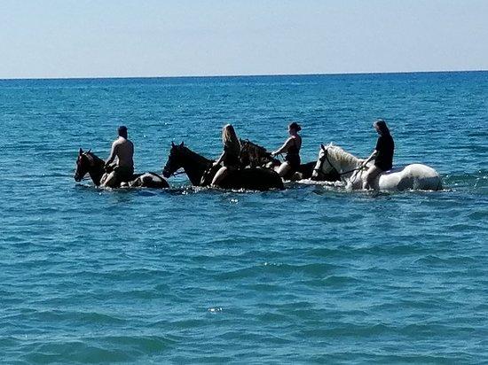 Laganas Horse Riding Center